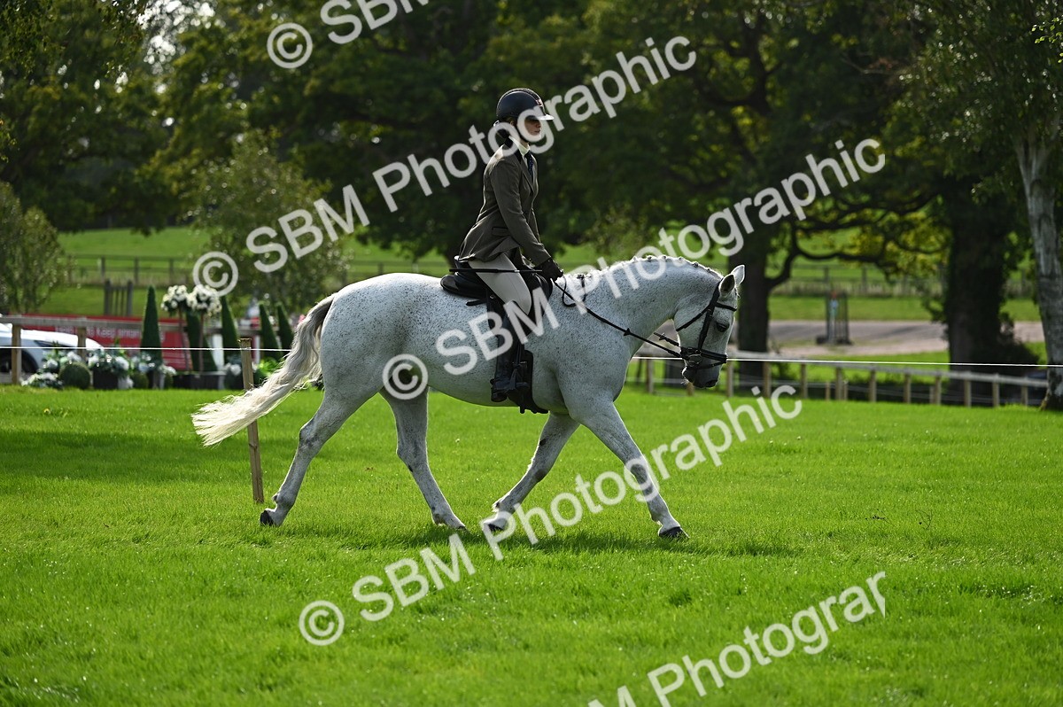 SBM_02617 - S3 - TSR Ridden Pony Showing