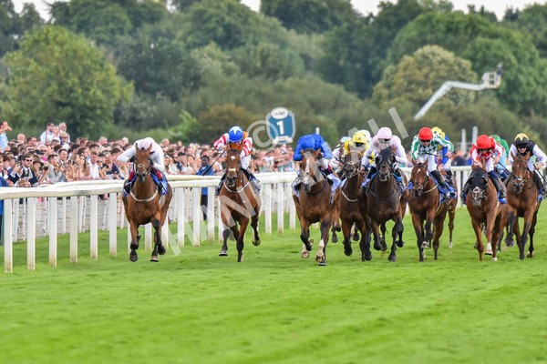 260823-Race 4-Absurde-0895 - Race 4 Sky Bet Ebor Handicap
