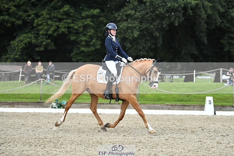 230812-123924-04182 - Cls 6 Novice Silver 12.10 to End