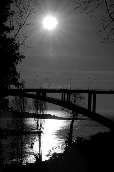 Sun lit river - Arrabida Views