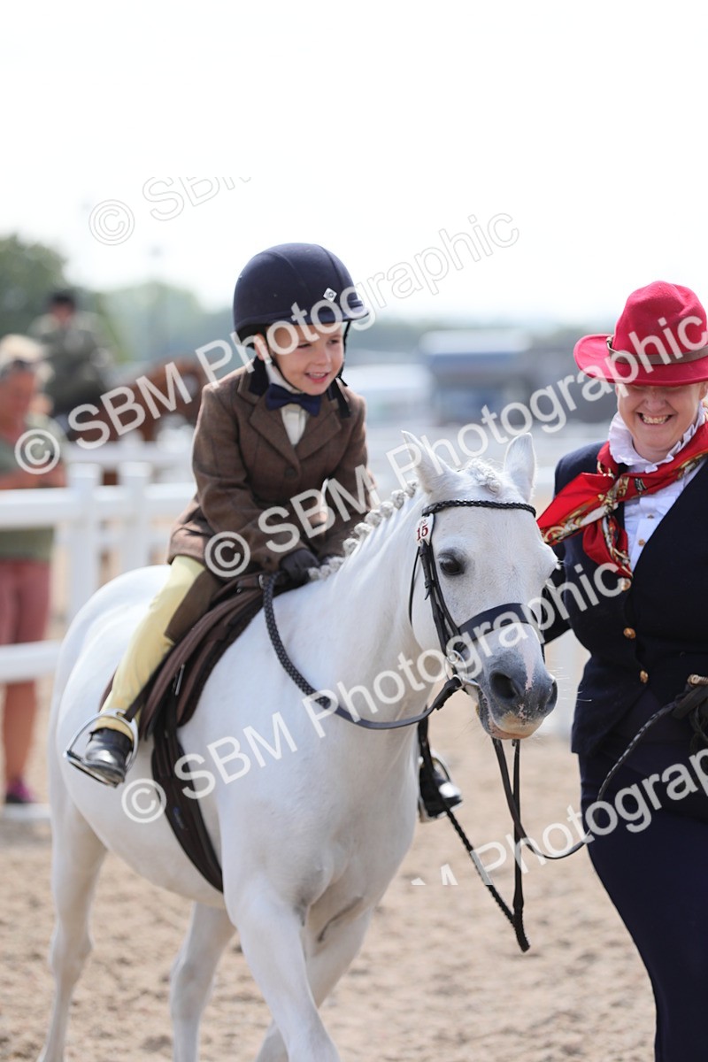 SBM_14022 - Class 309 Lead Rein Pony