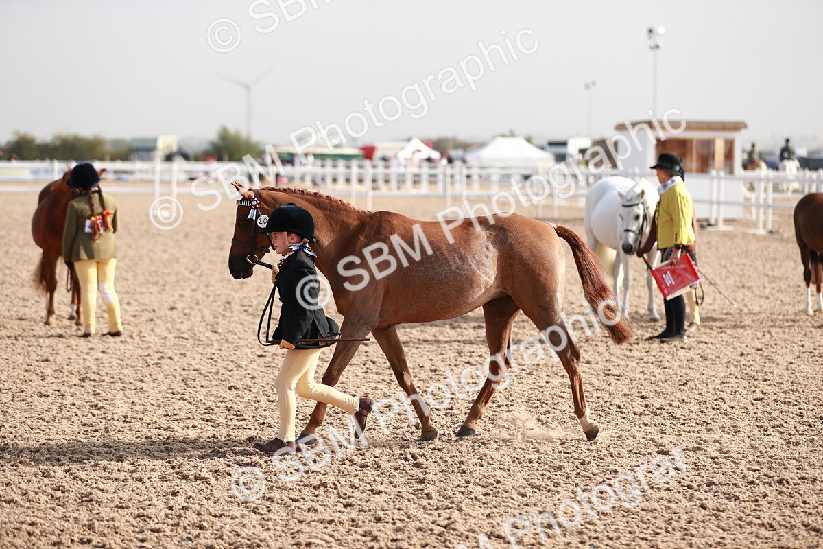 SBM_09886 - Class 203 Young Handler, 10 years and under