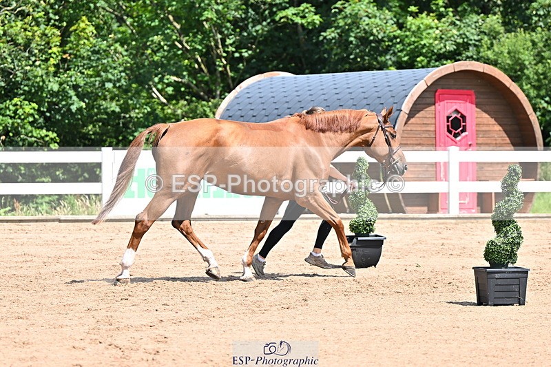240718A-105245-01118 - Trot Up 12pm to 1pm