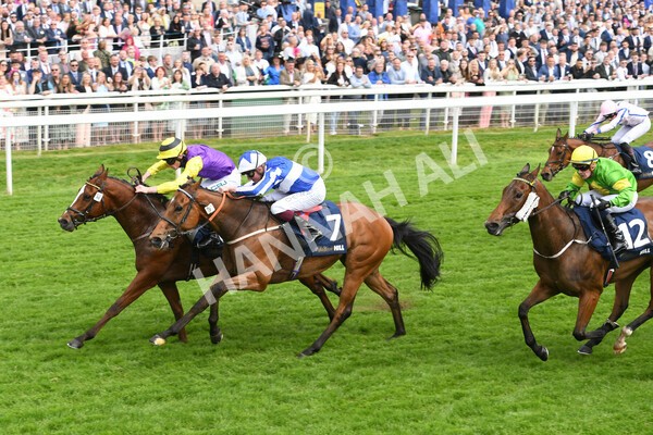 yr21052022r3-13 - Race 3: 3:30pm William Hill Best Odds Guaranteed Stakes