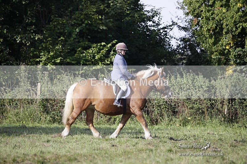 BVRC 120921 82 - Bourne Valley Riding Club UA Dressage & Show Jumping 12/09/21