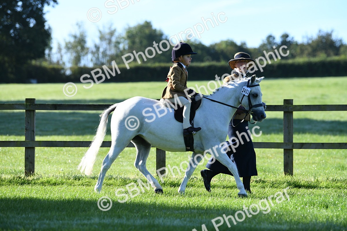 SBM_35366 - S17 - Condition & Turnout - Lead Rein
