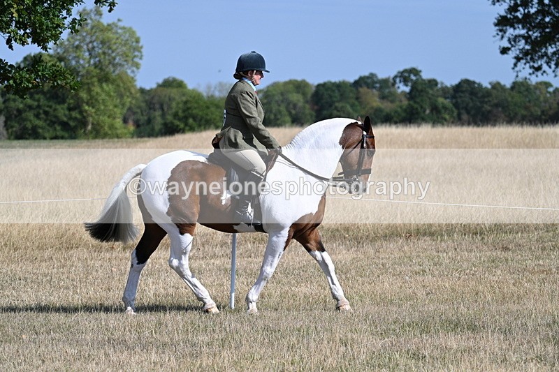 WJ7_2800 - Class 8 Ridden Tack & Turnout