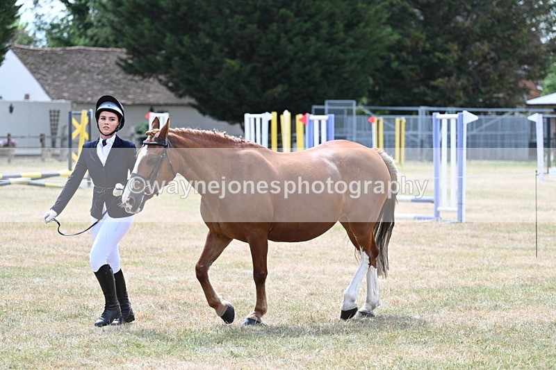 WJ7_1978 - Class 4a Prettiest Mare 14.2hh and over hand