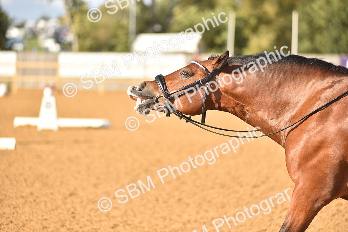 SBM_29673 - D16 -Small Tour Championship Novice 2