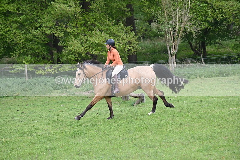 WJ6_2627 - A camera
