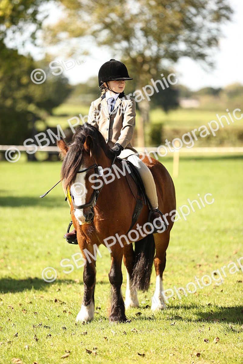 SBM_19188 - S3 - TSR Ridden Pony Showing