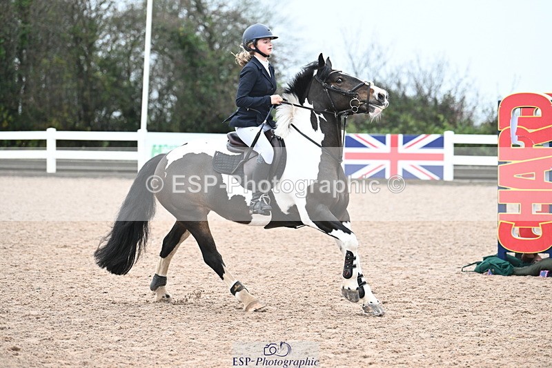 231118A-092625-00388 - Cls 2 BlueChip Pony Novice Qualifier