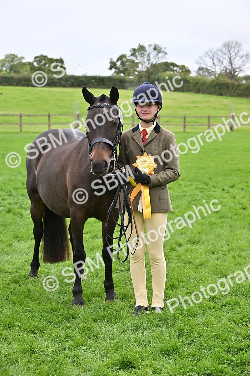 SBM_64956 - S50 - Show Pony & Show Hunter Pony In Hand