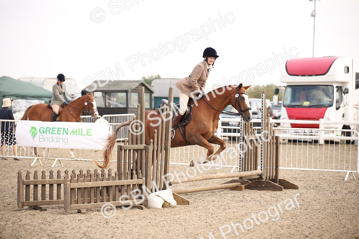 SBM_13588 - Class 406b - Working Veteran 50cm (20+)