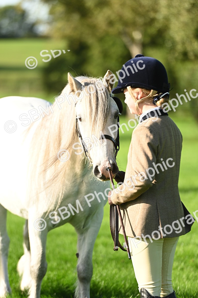 SBM_14768 - S1 - TSR in Hand Horse & Pony Showing