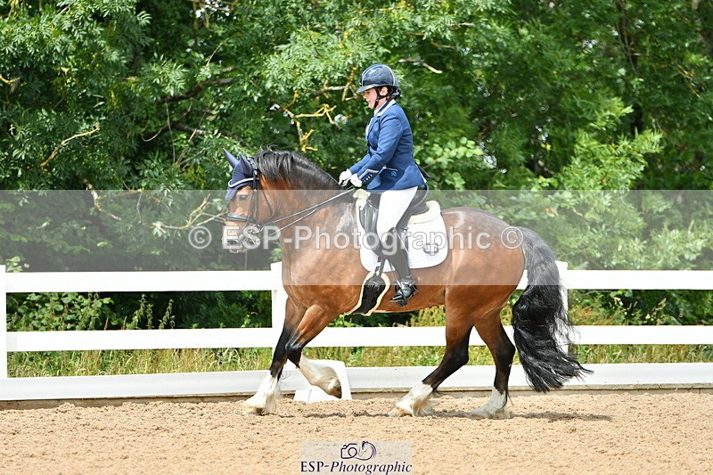 230702A-124910-09378 - Cls 29 Elementary 57