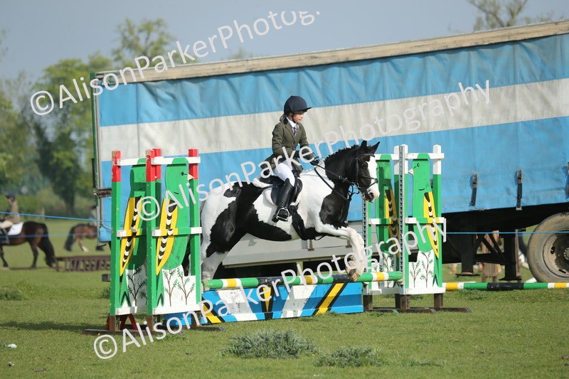 20260426-0019 - Class 13 - Rookie Jumping 50cm