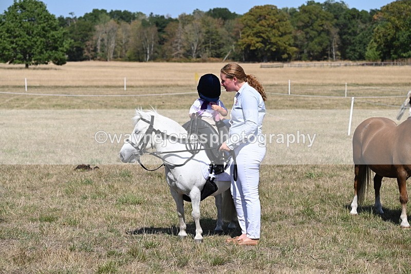 WJ6_9519 - Class 40 Cheekiest Pony/Horse