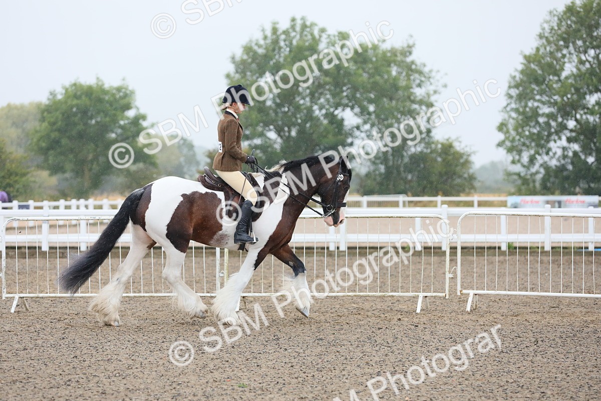 SBM_19852 - Class 801 - Ridden Veteran