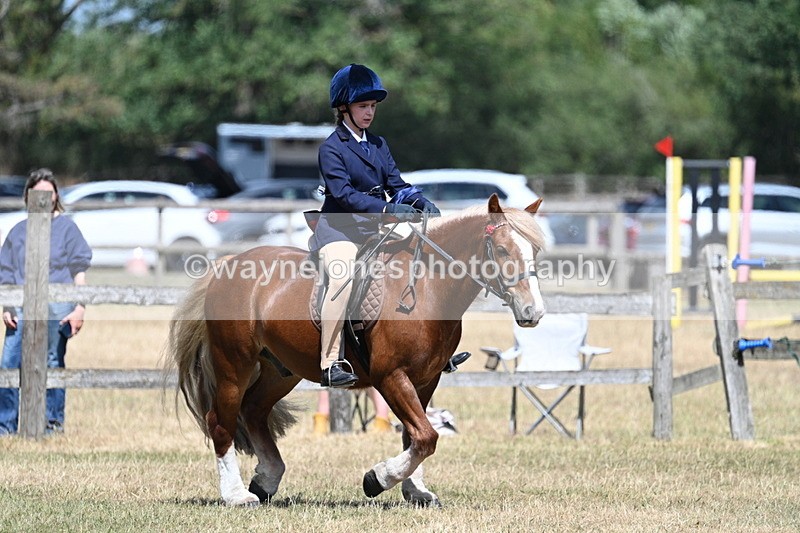 WJ7_3369 - Class 8 Ridden Veterans