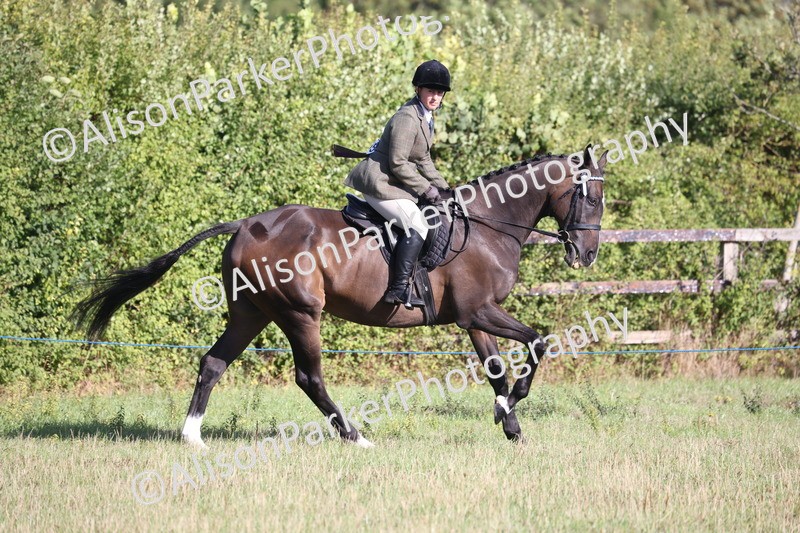 20260906-0358 - Class 14 - Ex Racehorse