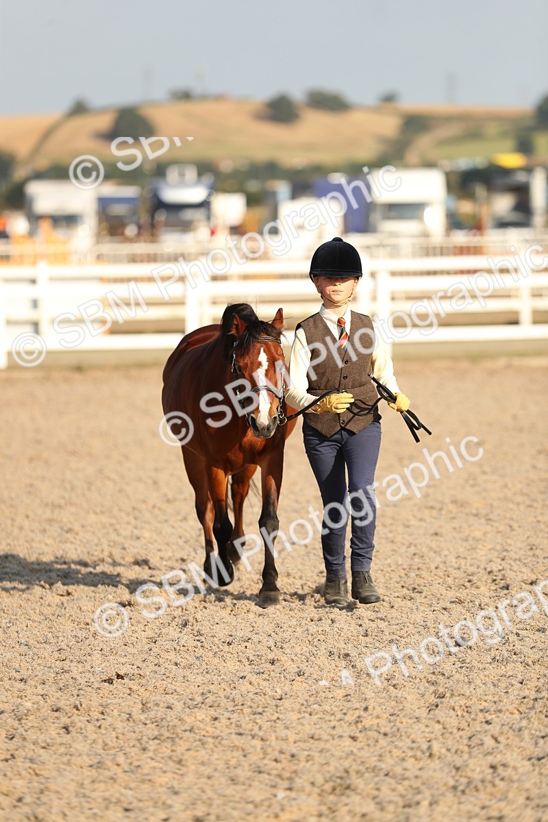 SBM_08989 - Class 29 IH Veteran Pony