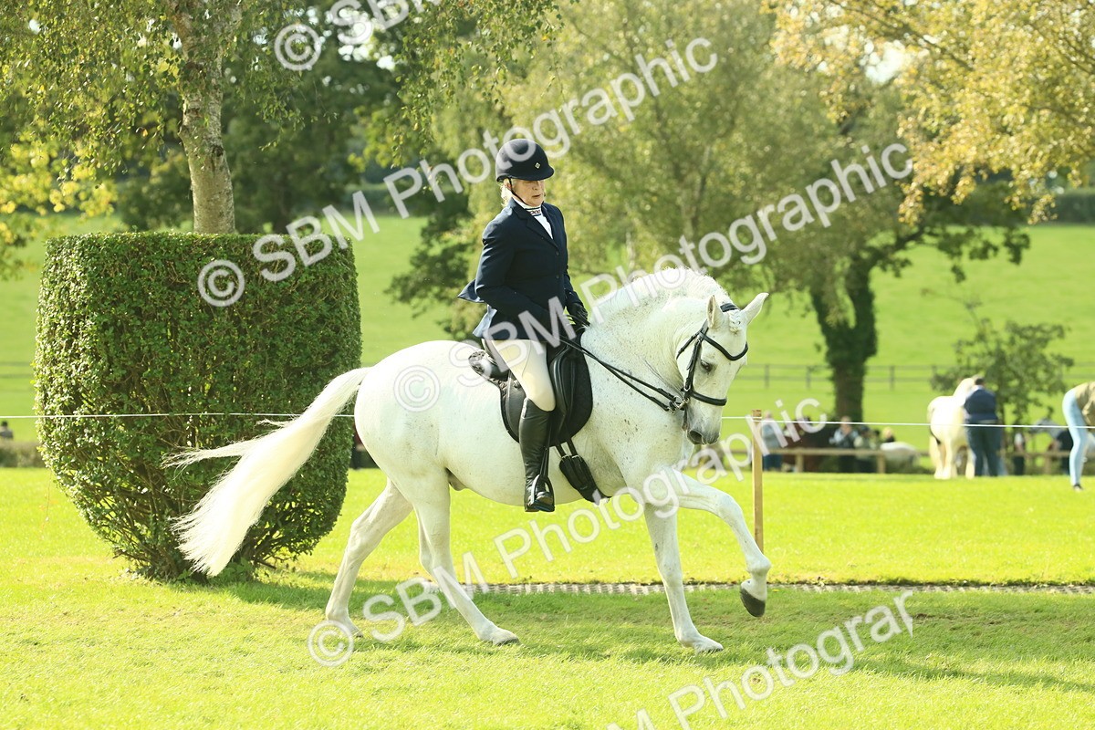 SBM_62402 - S62 - Foreign Breeds Ridden