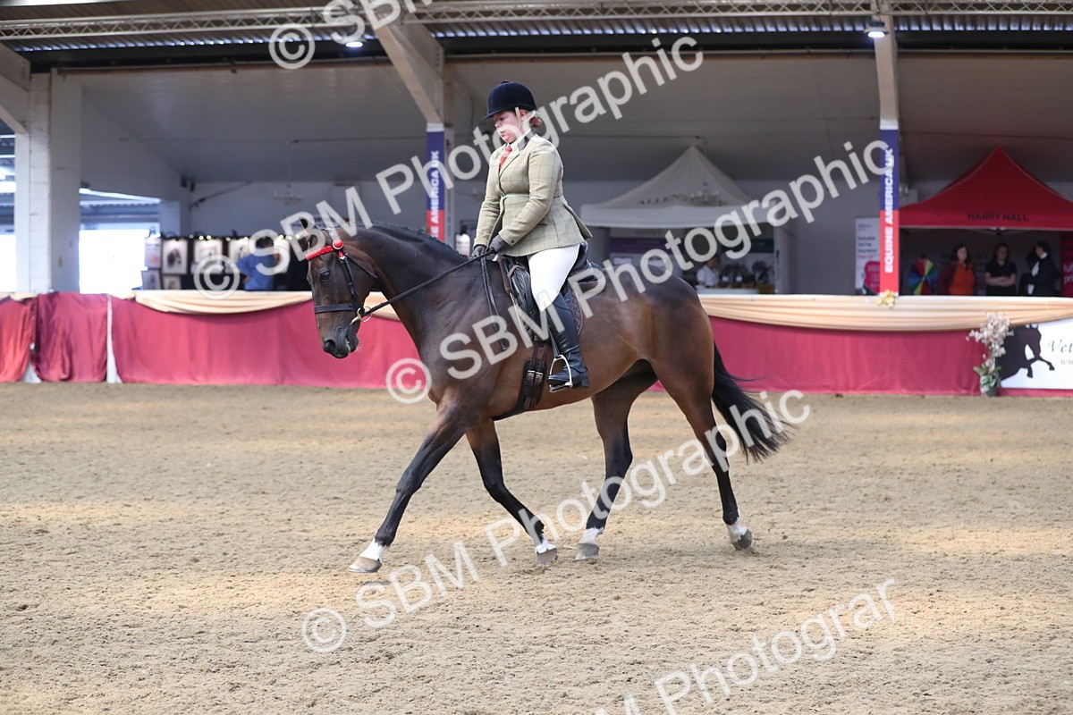 SBM_12383 - Class 108 Ridden Retired Racehorse- Pre Judging