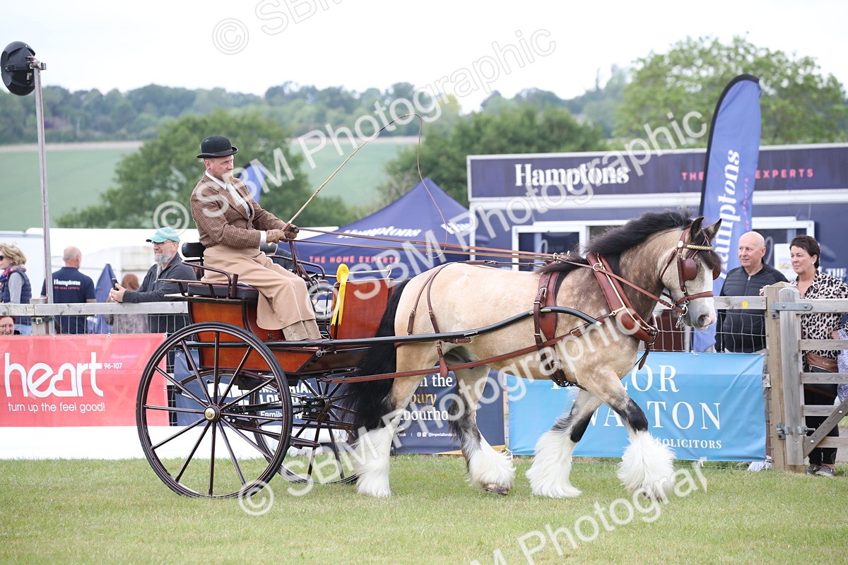 SBM_05706 - Class 12-15 - HOYS Private Driving