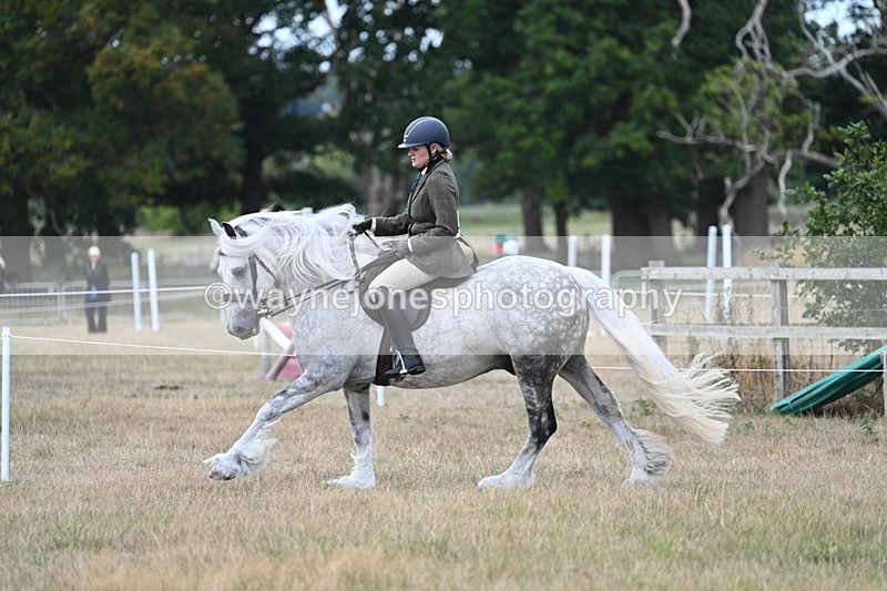 WJ7_5144 - Class 12 Ridden Cob