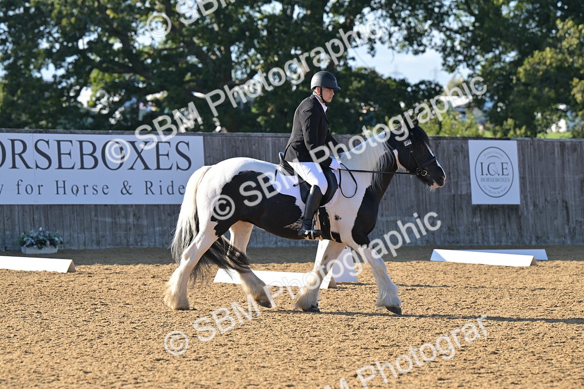 SBM_13014 - D3 - Small Tour Championship Intro 3