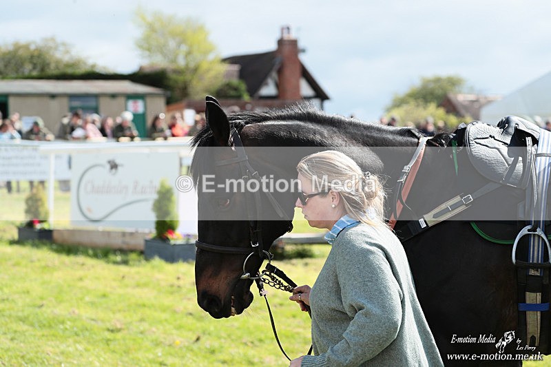 PtP 180426 168 - Worcestershire Hunt PtP Chaddesley Corbett 18/04/26