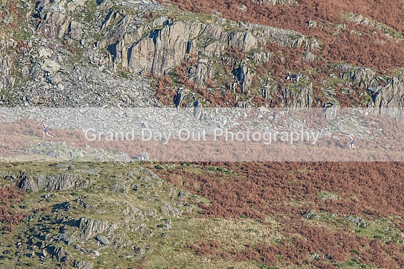 Dunnerdale-2 - Dunnerdale Fell Race Saturday 12th November 2022