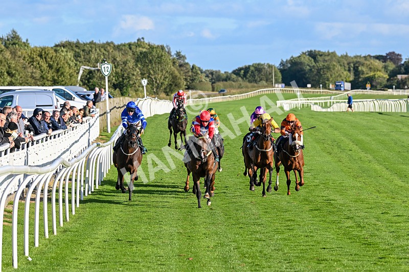 100924-Race 7-Desert Dream-0669 - Race 7