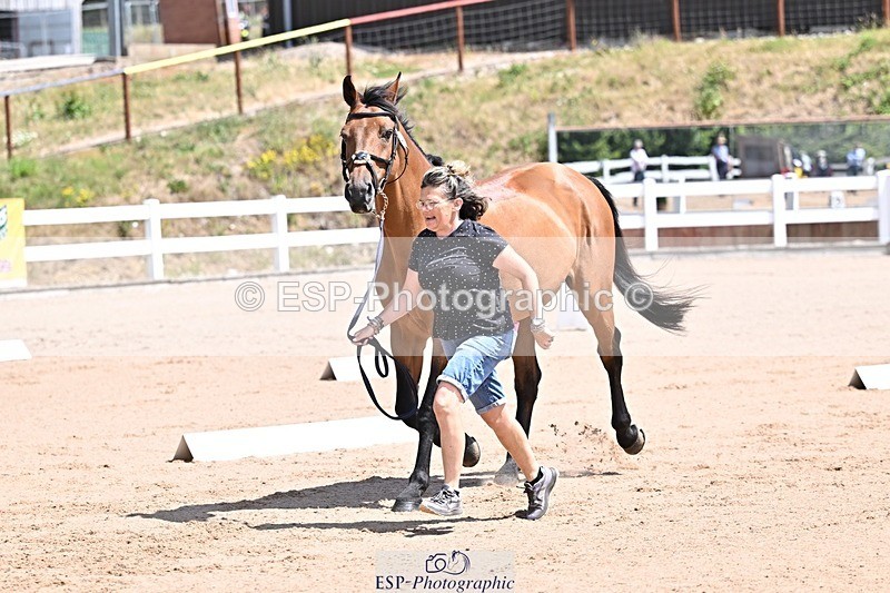 250716-123846-00088 - Trot Up 12.30 to 1.30