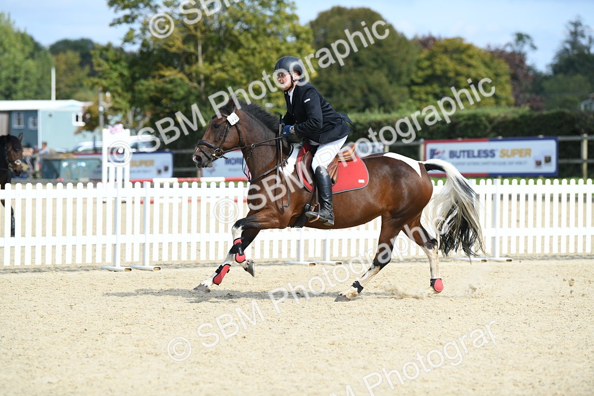 SBM_64710 - J48 - Pairs Jumping Open 70cm & 85cm