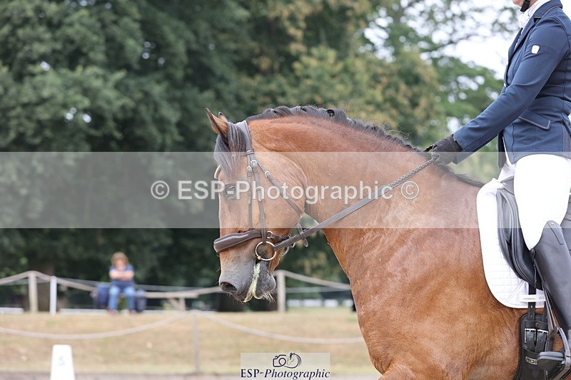 250718A-114340-00934 - 117-Alexandra.Northwood-Scurlagecastle.Gino