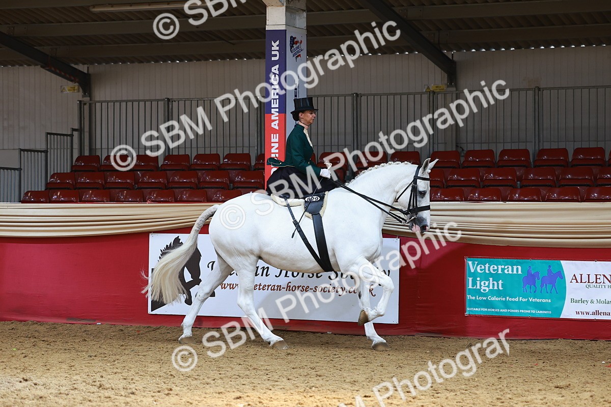 SBM_13880 - Class 106 - Ridden Costume - Side Saddle