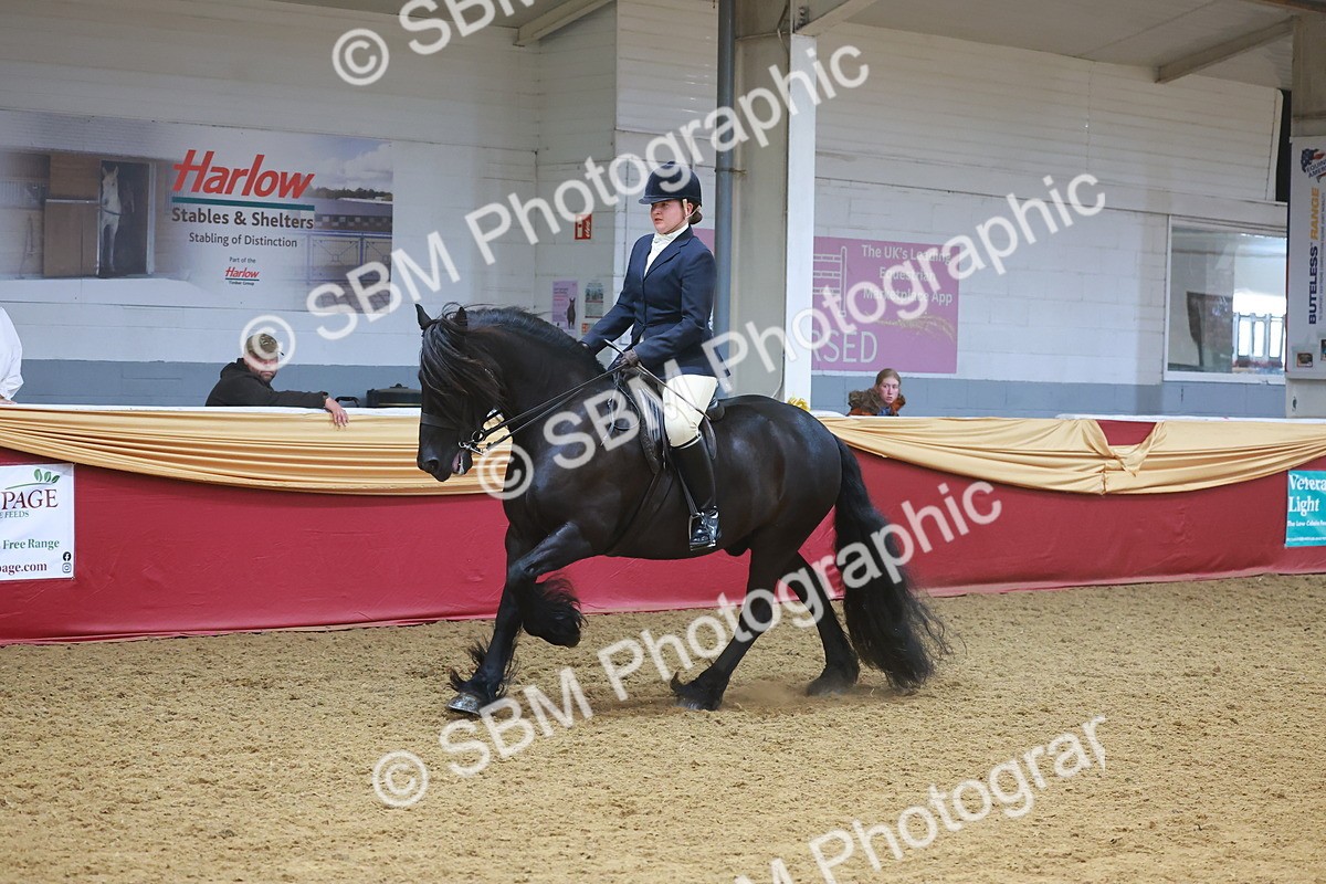 SBM_17773 - Class 952 - M&M Ridden Supreme Final