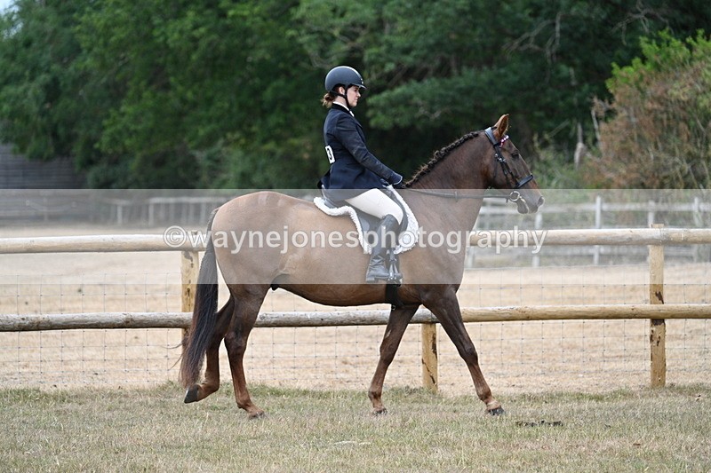 WJ7_0745 - Class 7 Riding Club Show Horse