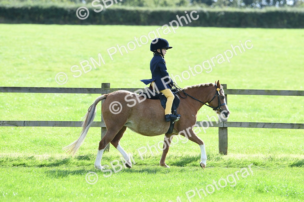 SBM_50267 - S21 - Novice & Newcomers 1st Ridden Pony