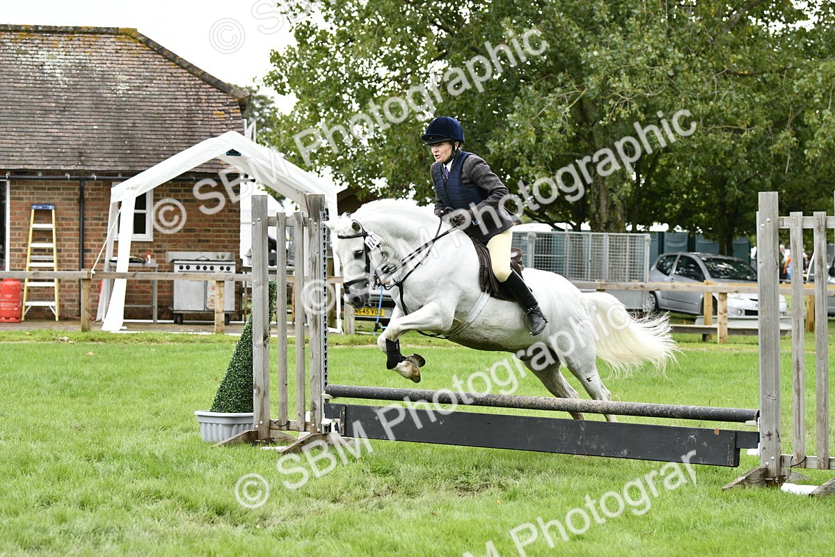 SBM_41298 - S32 - Mountain & Moorland Working Hunter Pony
