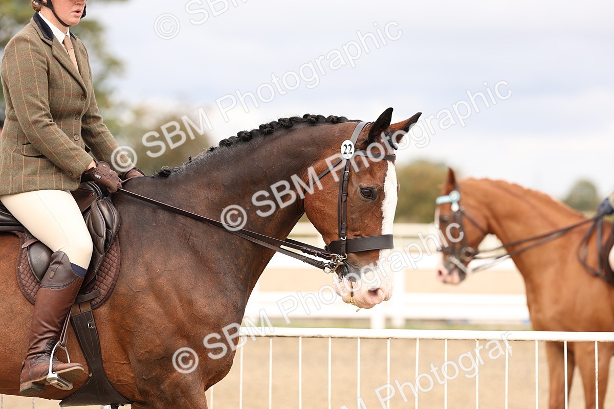 SBM_02769 - Class 53 - Ridden Competition Horse/Pony