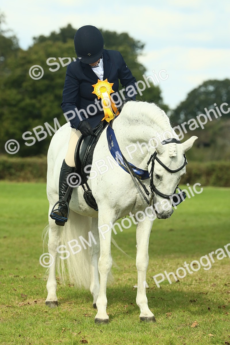 SBM_62534 - S62 - Foreign Breeds Ridden
