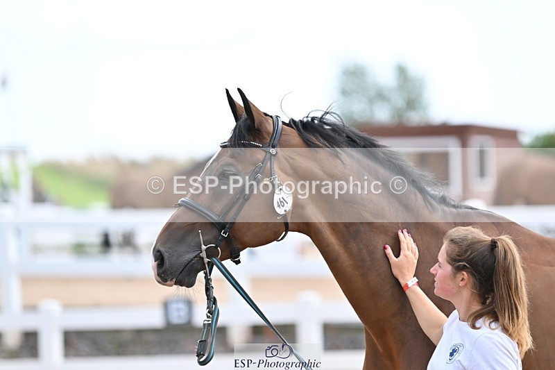 240717A-142800-02073 - Trot Up 2pm to 3pm - This folder is not in time order