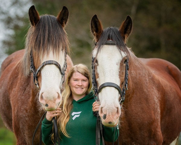 Dionne-175 - DGClydesdales