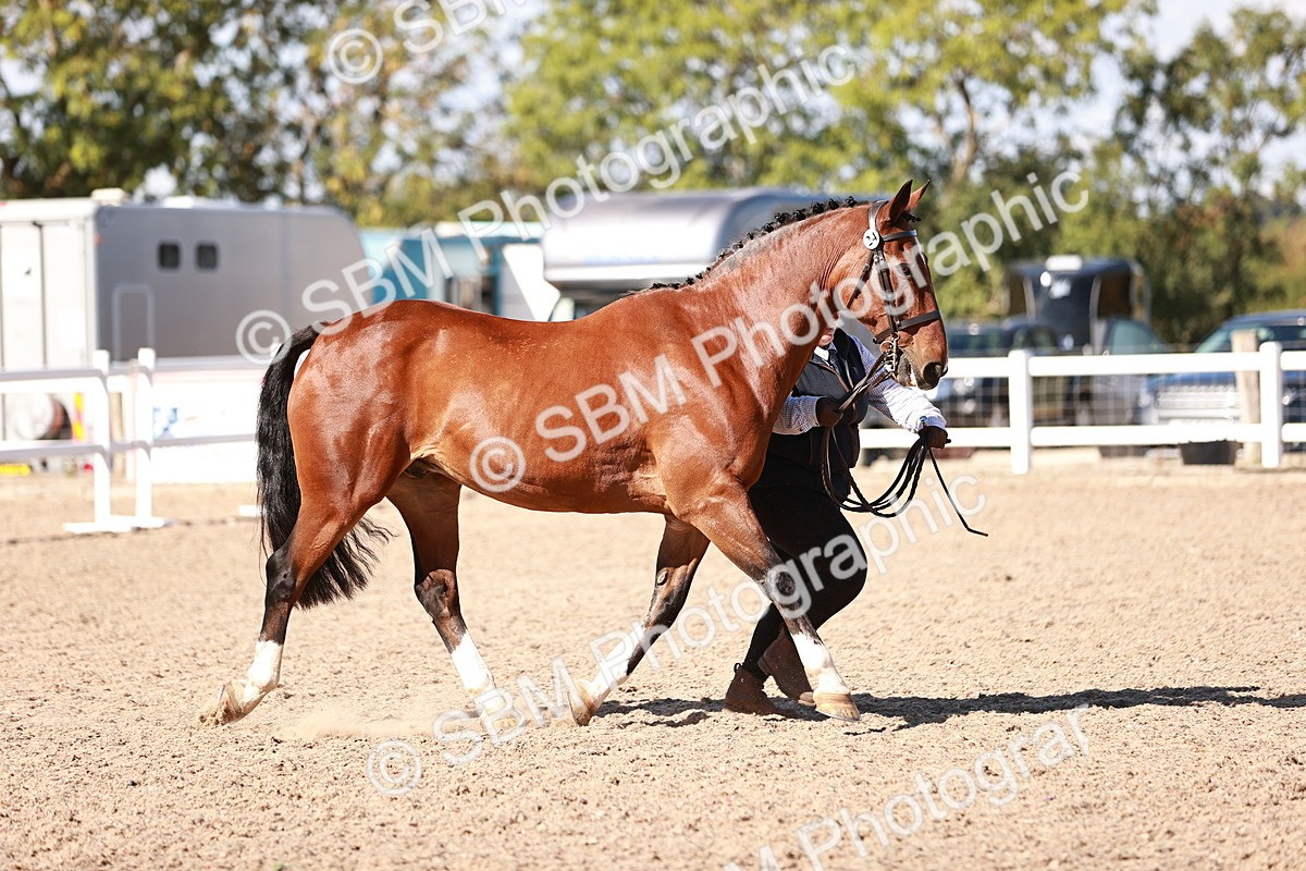 SBM_13306 - class 406 - IH Hunter