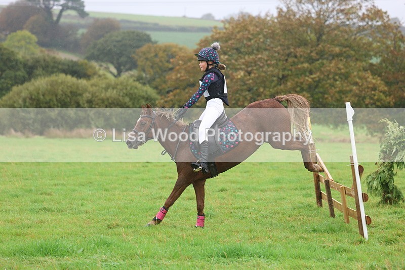 3E7A1042 - Class 1: 65cm: Rails