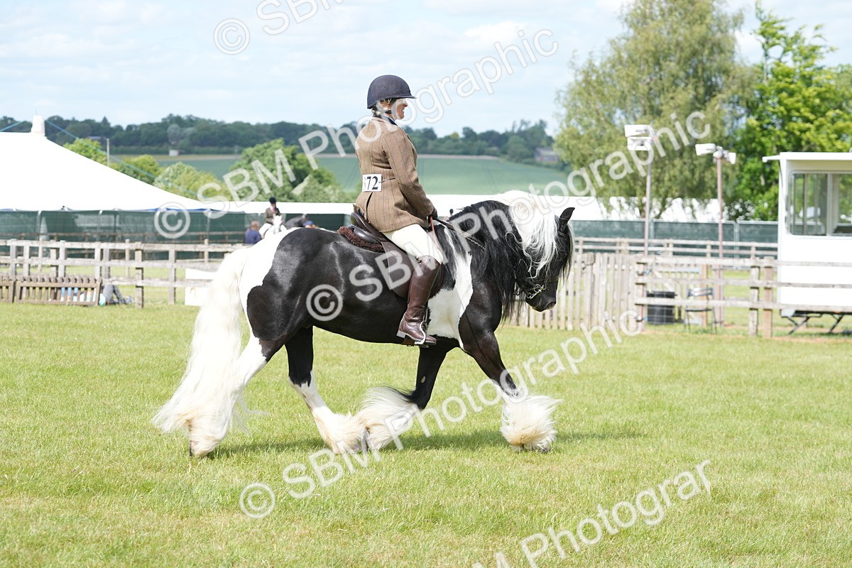 SBM_17275 - Class 107-108 - LIHS BSPS Performance Coloured Horse Pony
