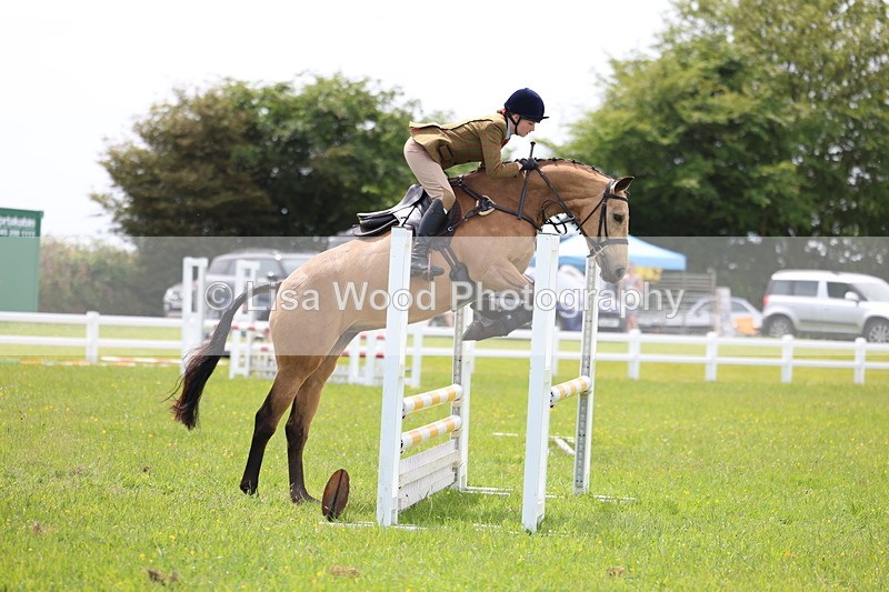3E7A1426 - Class 13: Senior British Novice/90cm open